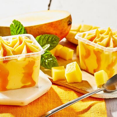 Promozione Mini Formati Gelato - "I CremosiniMango