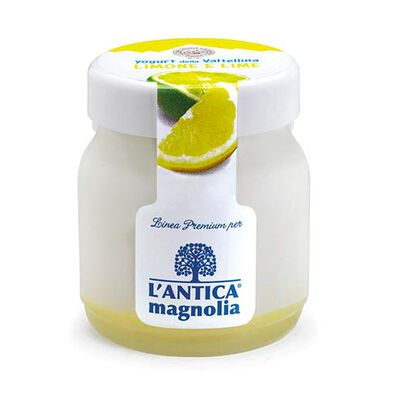Yogurt e dessert - Yogurt della Valtellina Limone e Lime